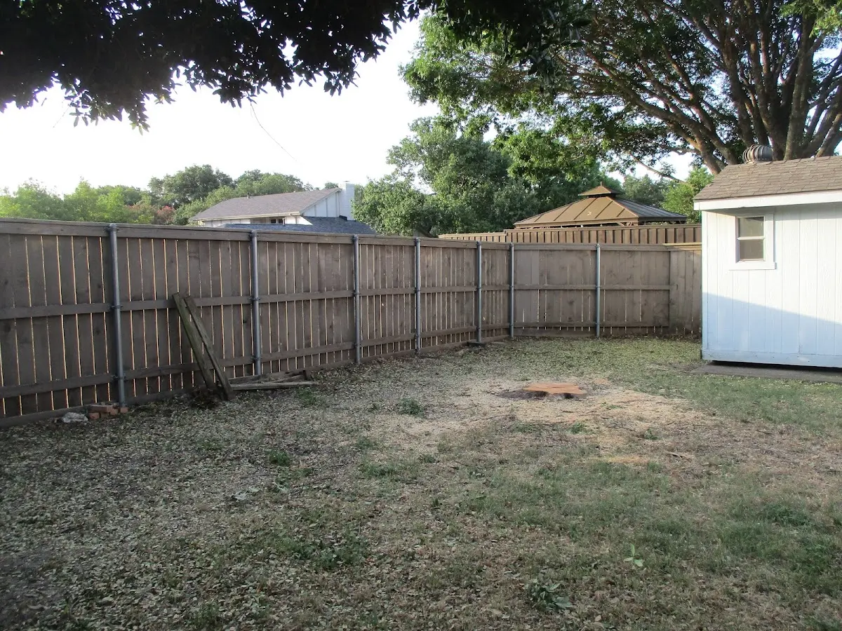 Cleared yard after professional tree removal in Yarmouth