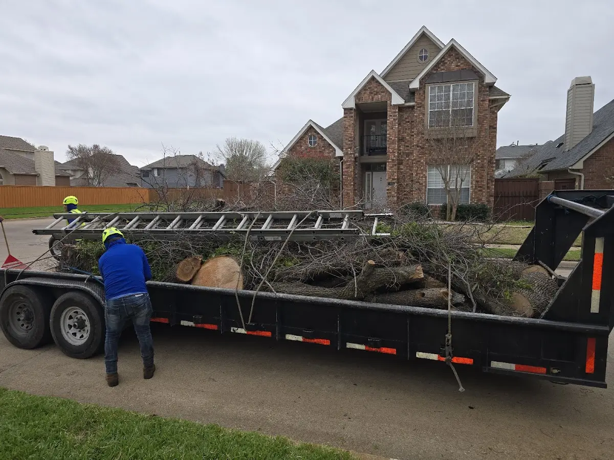 Expert Tree Fertilization with proper safety equipment in Yarmouth